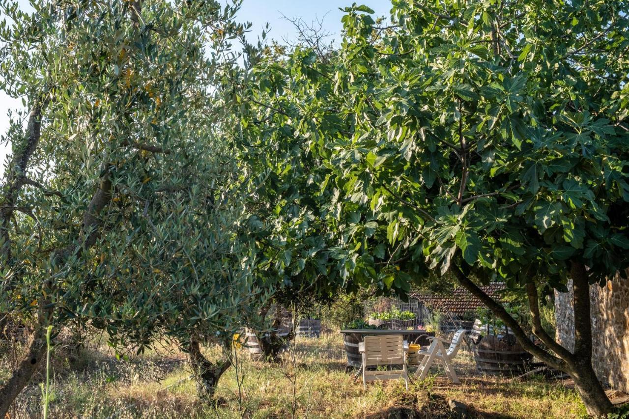 Podere Pruneto Radda in Chianti Exterior foto