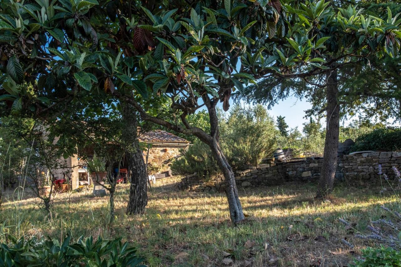 Podere Pruneto Radda in Chianti Exterior foto